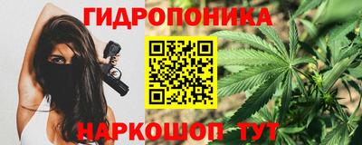 индика Кимры
