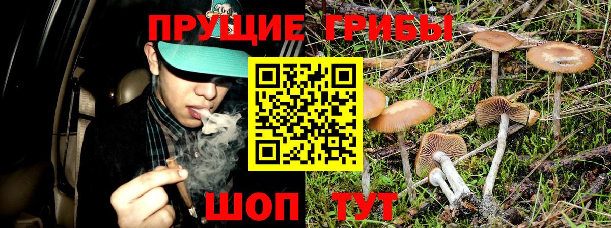 Фурманов  Псилоцибиновые грибы мицелий  цены   Вход с VPN 