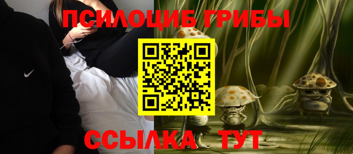 Псилоцибиновые грибы Cubensis Фурманов